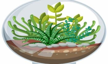 aquatic plants