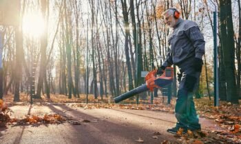 Tree Surgery
